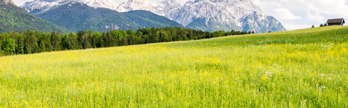 Hydrogen Sulfide Analyzers