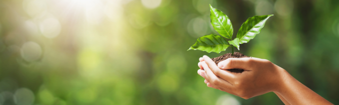 Mercury Vapor Analyzers